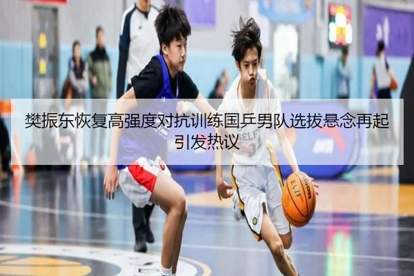 樊振东恢复高强度对抗训练国乒男队选拔悬念再起引发热议